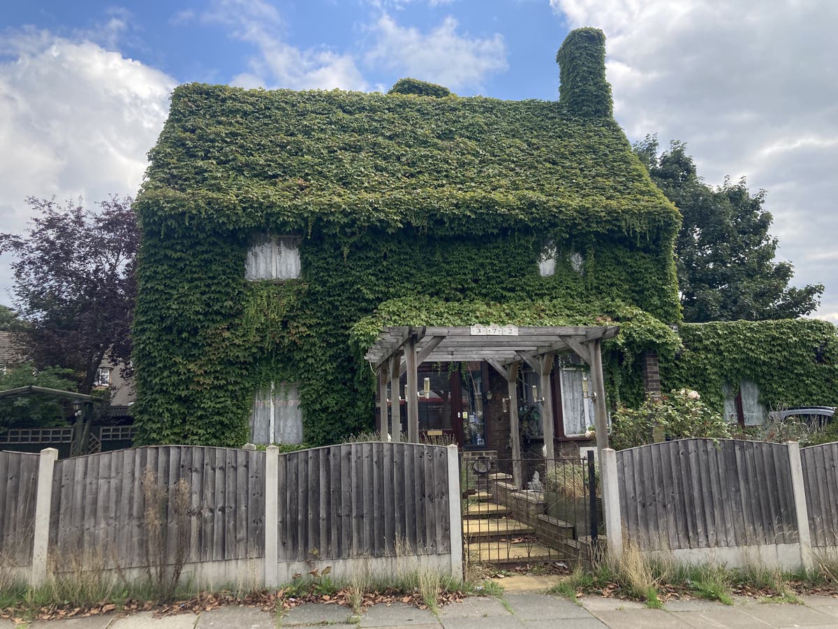 Couple find natural way to warm home with climbing plant