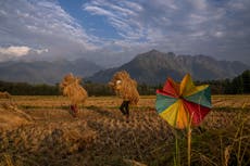 India rice export ban will fuel ‘volatility’ in global food prices, IMF warns