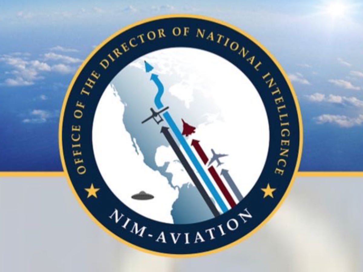 Army Aviation Logo