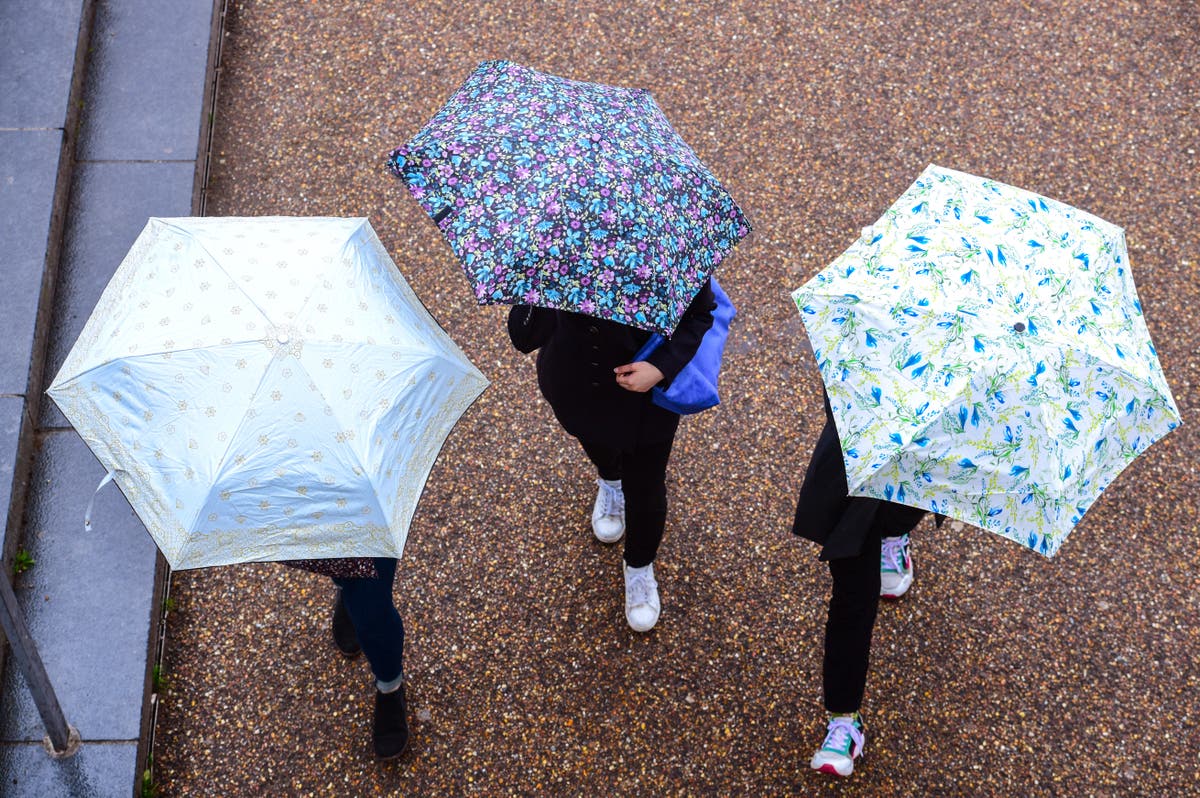 Heavy rain and strong winds forecast for Friday with severe gales of up to 55mph