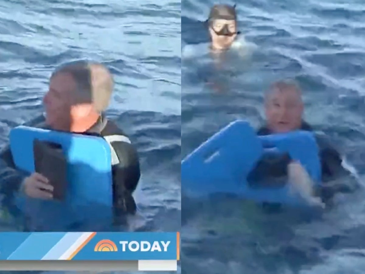 Today show reporter struggles to stay afloat while filming sea turtle segment