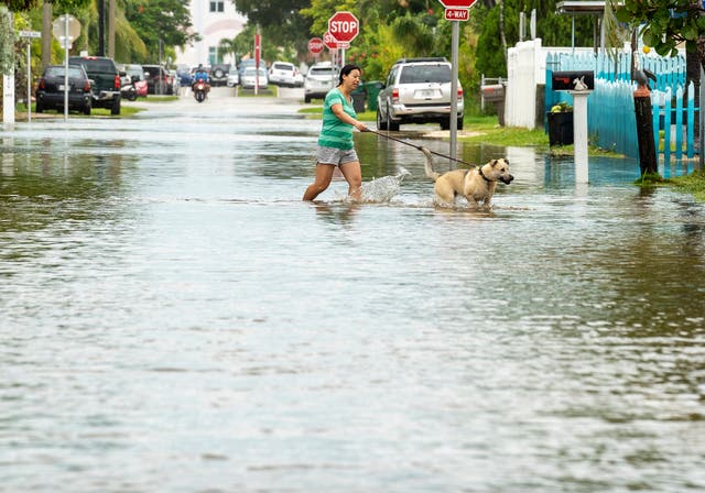 <p>Una persona pasea a su perro en Key West, Florida, el martes cuando las inundaciones del huracán Ian comienzan a azotar el estado.</p>