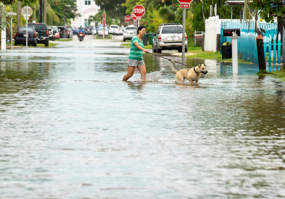 How to keep your pet safe during a storm like Hurricane Ian