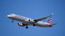 American Airlines passenger hit on head by flying food trolley 