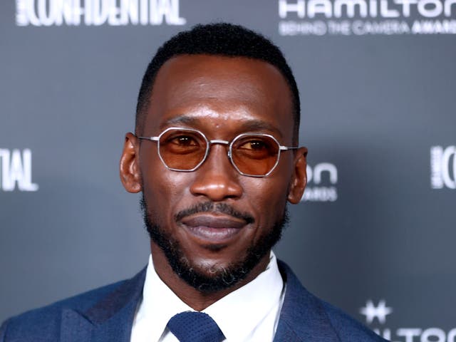 <p>Mahershala Ali pictured in November 2021</p>