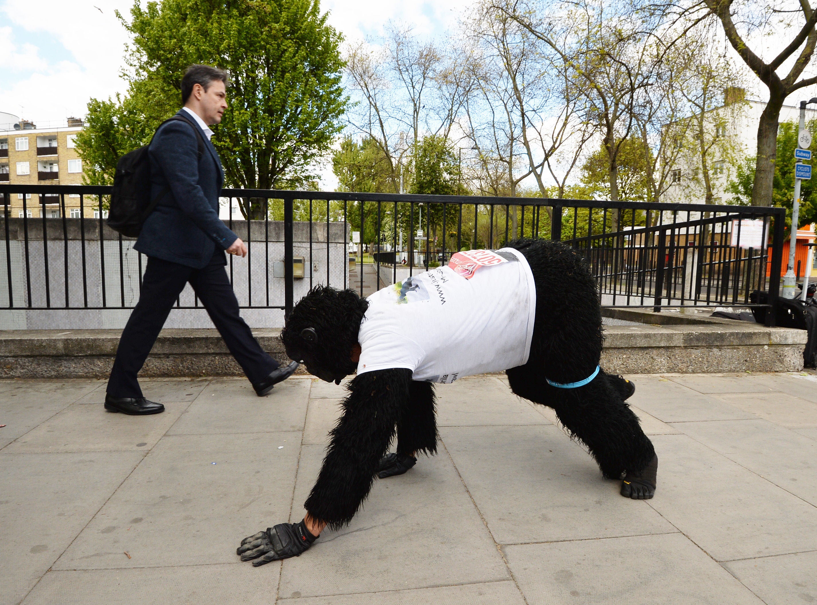 Mr Harrison’s previous charity ventures included crawling the London Marathon dressed as a gorilla (John Stillwell/PA)