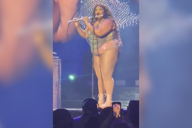 <p>Lizzo on stage in DC</p>
