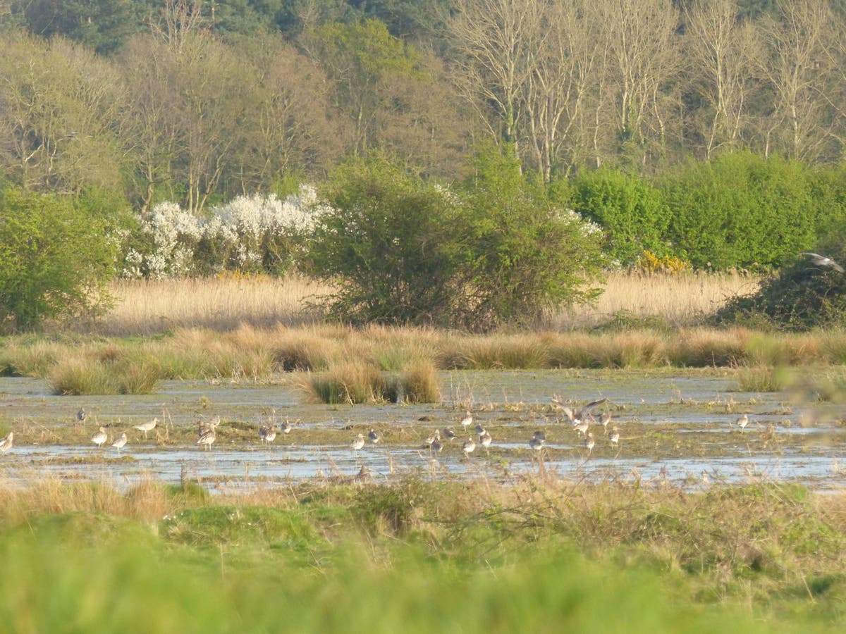 Keep up pressure to ensure landscape recovery scheme remains – conservationist