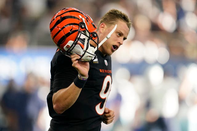 DEP-NFL DOLPHINS-BENGALS