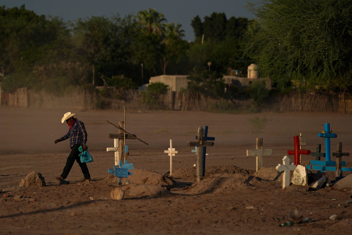 Report: 200 environmental activists killed globally in 2021