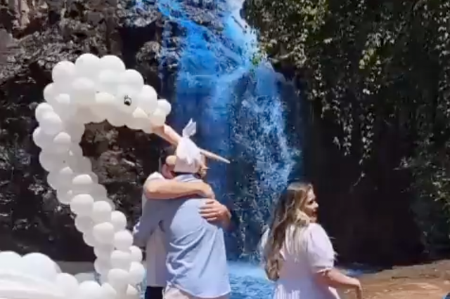 <p>Screengrab. A couple dyed a waterfall in Brazil blue for gender reveal party  (Reddit)</p>
