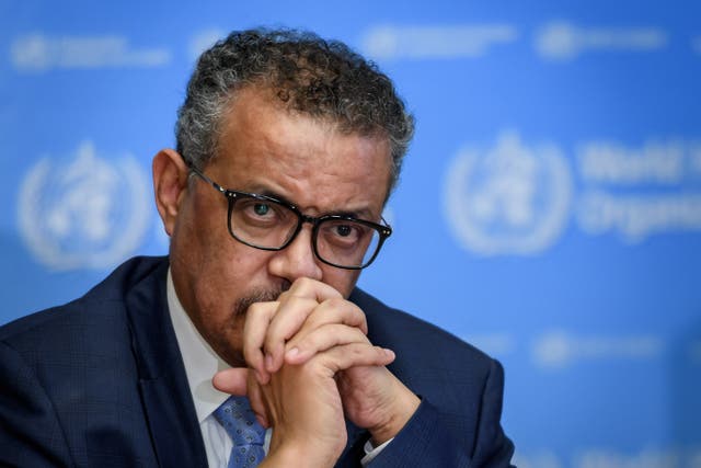 <p>The WHO usually works behind the scenes, but in 2020, Tedros Adhanom Ghebreyesus was launched onto the world stage </p>