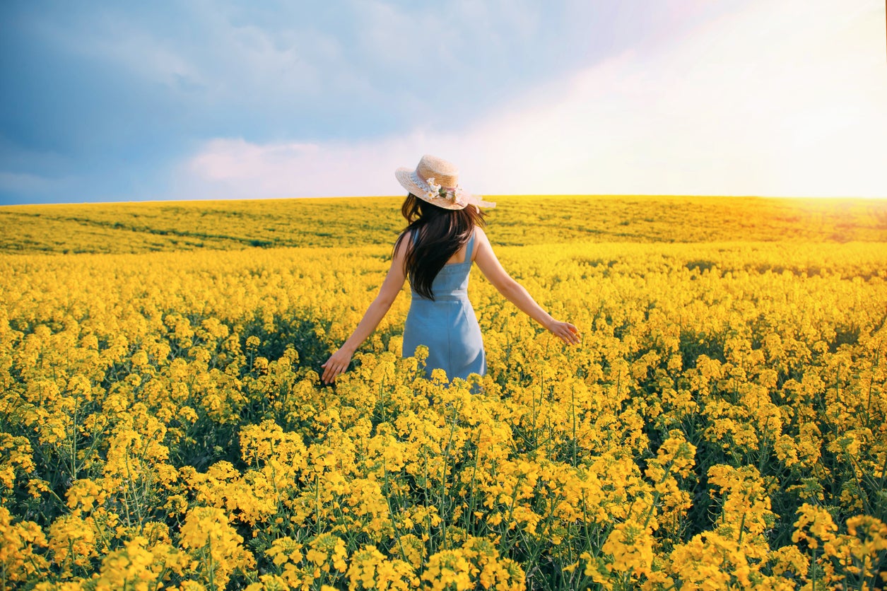 Australia’s ‘fields of gold’ are found in the states of New South Wales and Victoria