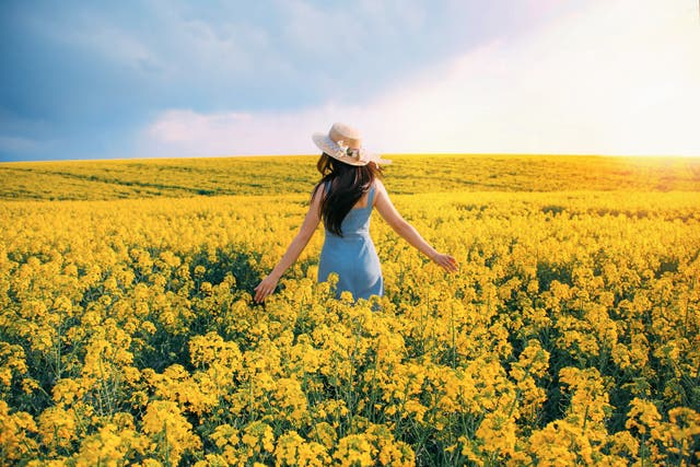<p>Australia’s ‘fields of gold’ are found in the states of New South Wales and Victoria</p>