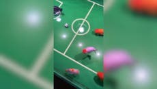Man trains his fish to play football in their tank