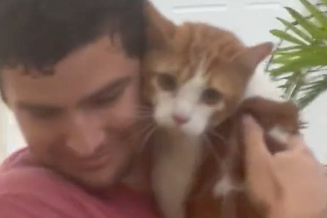 El novio de Megan Cruz Savo fue grabado en video rescatando a un gato