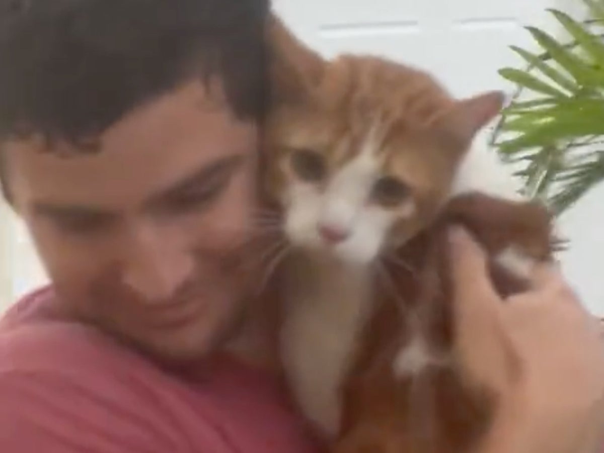Adam, Hurricane Ian'dan sevimli kedi kurtarma için viral hale geldi: 'Artık herkesin erkek arkadaşı'