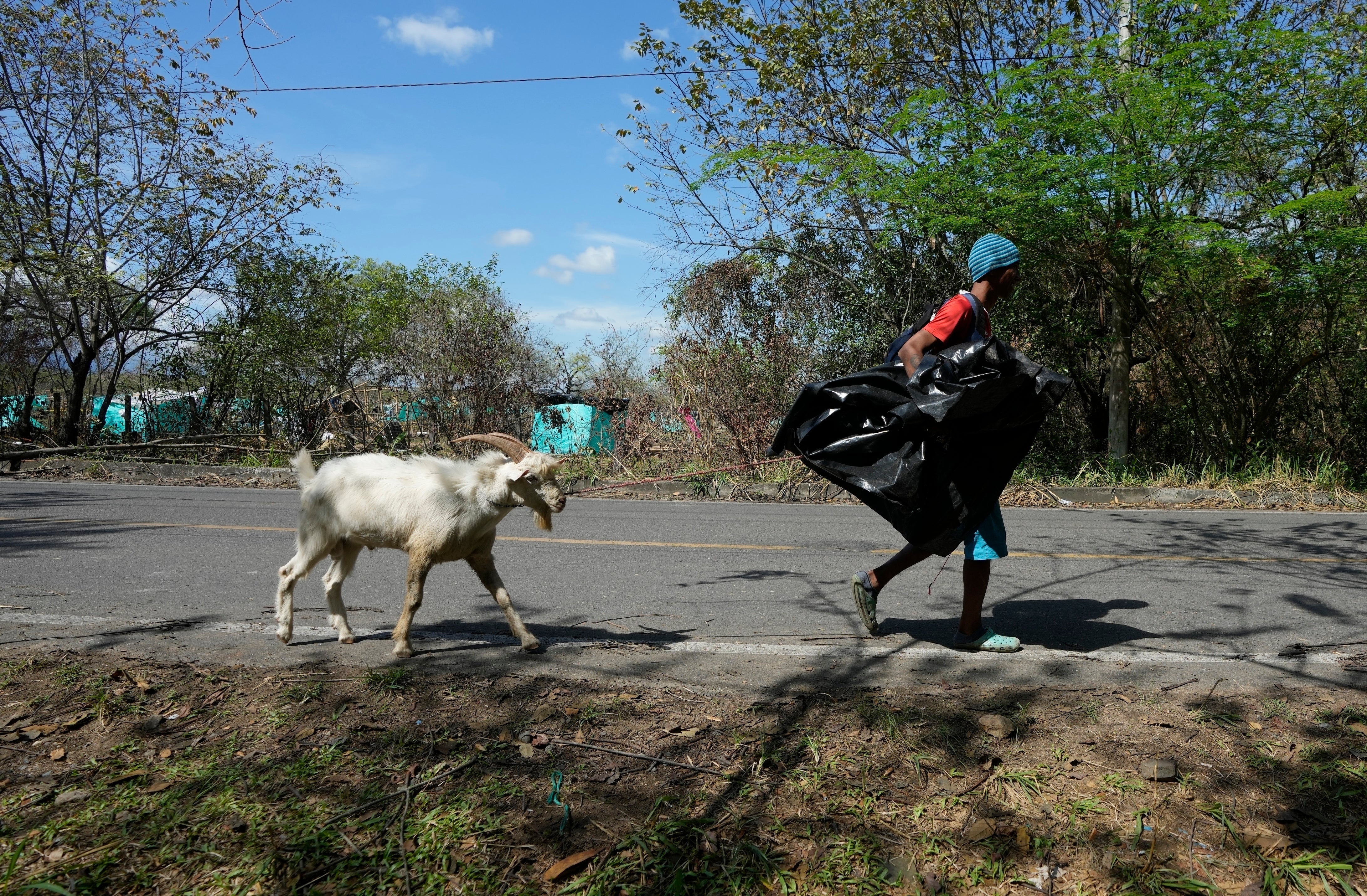 APTOPIX COLOMBIA-INVASIÓN DE TIERRAS