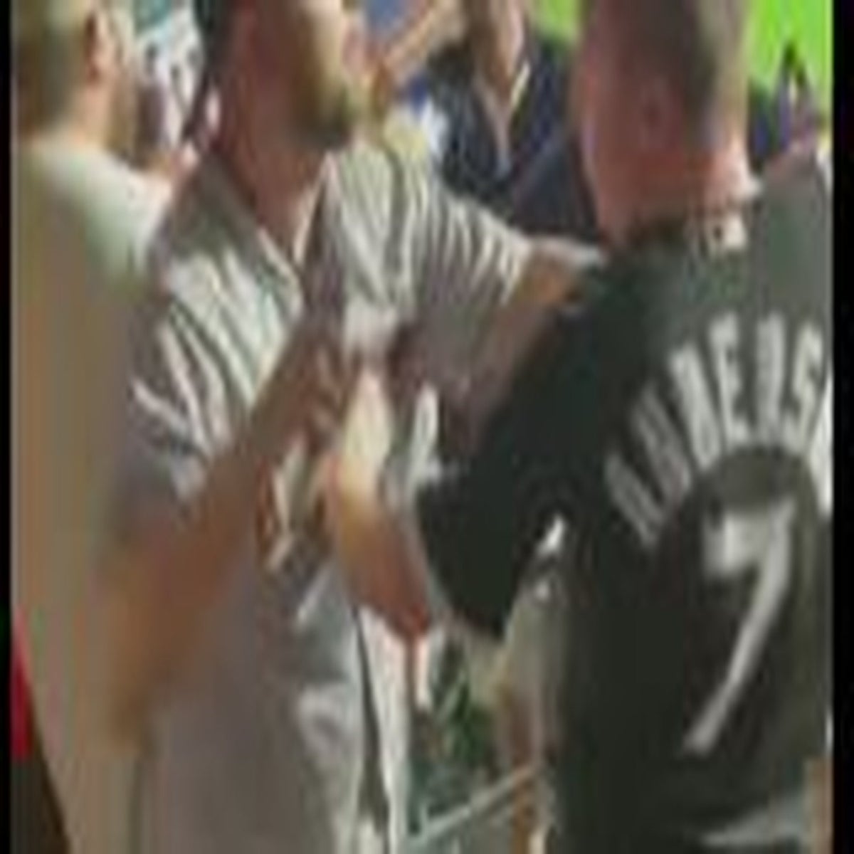 White Sox Fan Arrested After Viscous Punch From Astros Fan