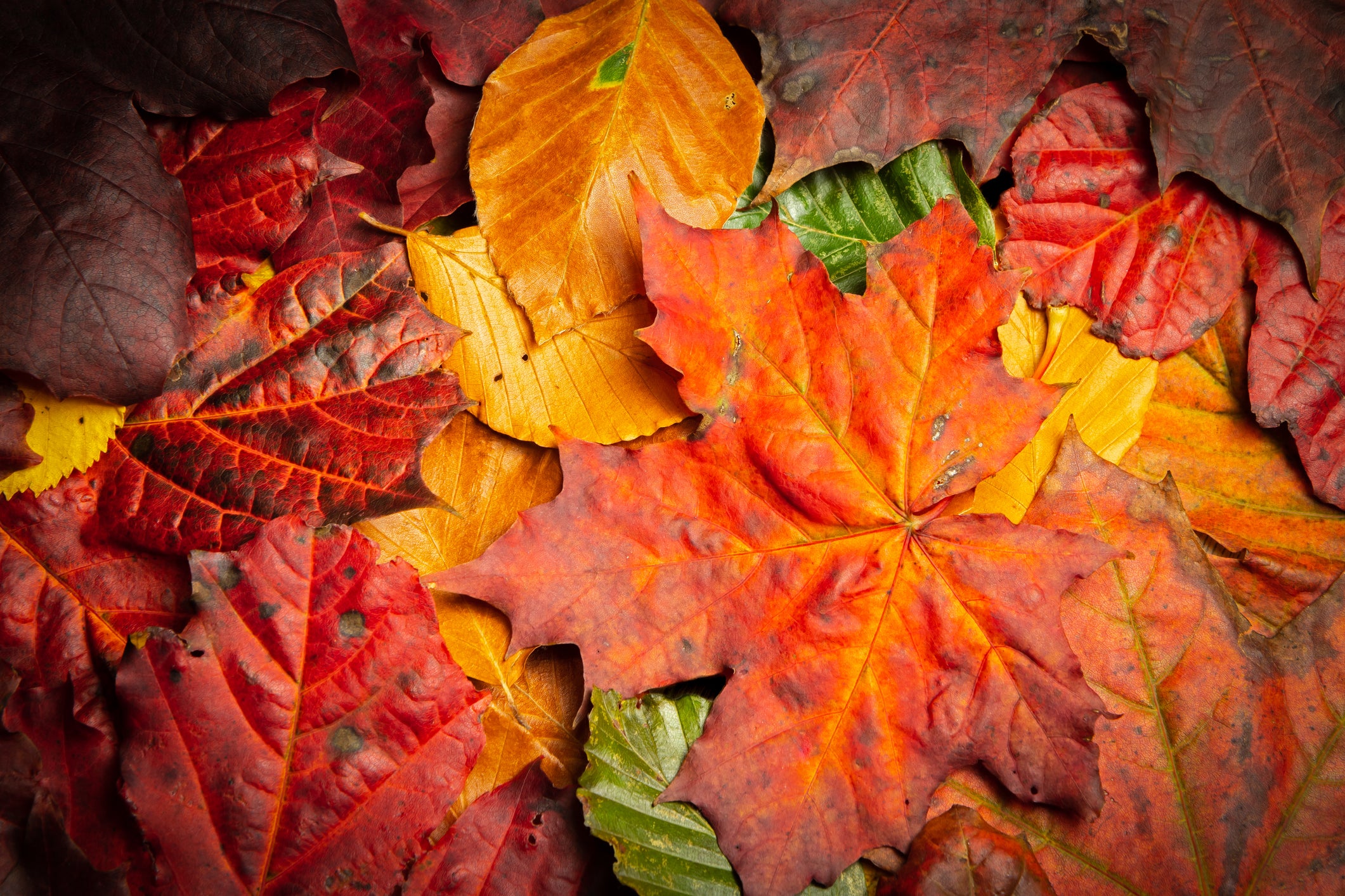 An ode to autumn – is October the finest month of all? | The Independent