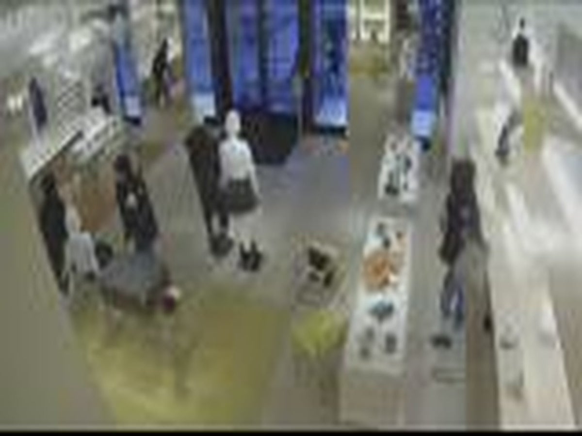 Gang Of Thieves Swarms Louis Vuitton Store, Swipes $100,000+ In Handbags