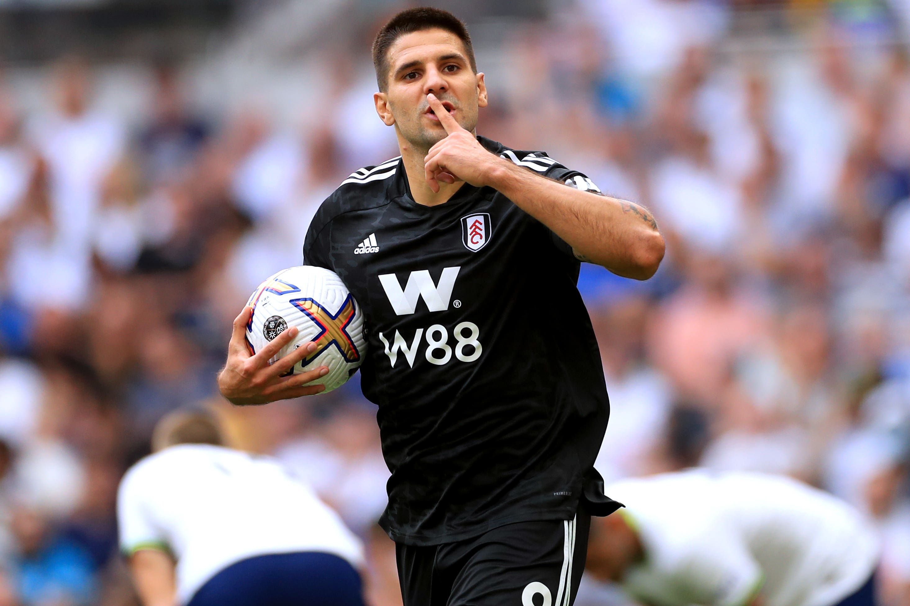 Marco Silva insisted Aleksandar Mitrovic does not need the added motivation of playing against his former club Newcastle on Saturday to perform (Bradley Collyer/PA)
