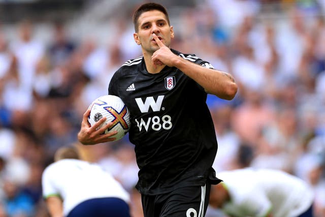 Marco Silva insisted Aleksandar Mitrovic does not need the added motivation of playing against his former club Newcastle on Saturday to perform (Bradley Collyer/PA)