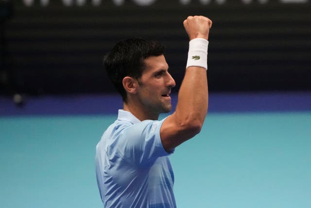 Novak Djokovic celebrates his victory over Vasek Pospisil in Tel Aviv (Ariel Schalit/AP)
