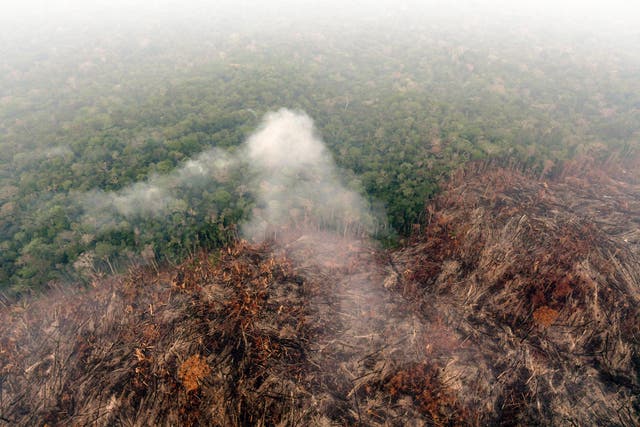 <p>A deforested and burning area of the Amazon rainforest in September.  </p>