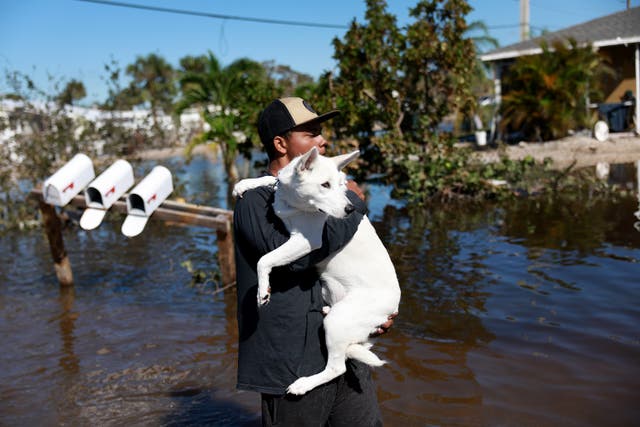 <p>Jordan Reidy carga a su perro de vuelta a su departamento en Fort Myers, Florida, el viernes, en medio de calles inundadas</p>