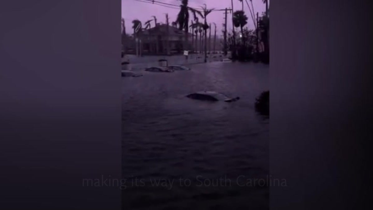 Survivors share Hurricane Ian aftermath on social media