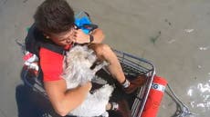 Coast Guard rescues stranded residents and their pets amid Hurricane Ian in Florida