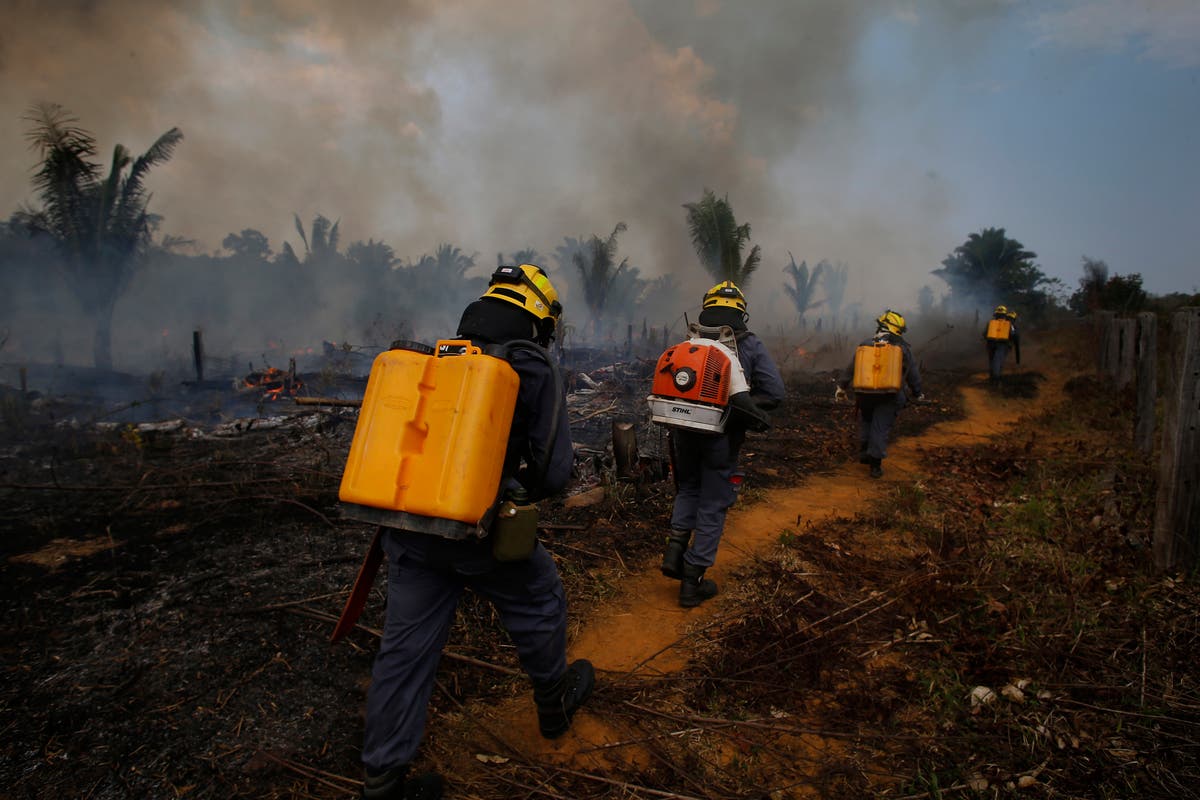 Worst Brazil forest fires in a decade, yet election silence