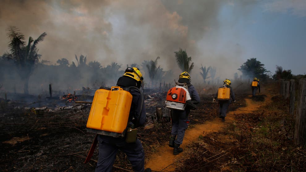 Worst Brazil forest fires in a decade, yet election silence