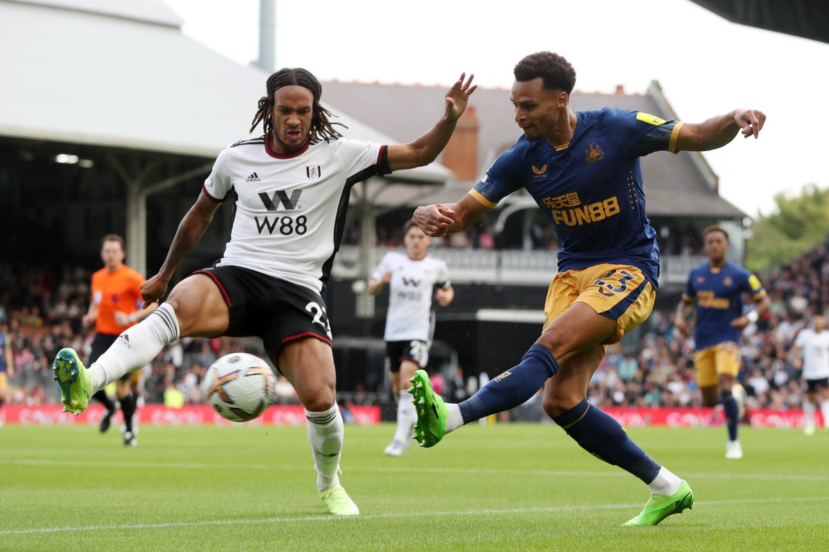 Fulham vs Newcastle United LIVE: Premier League latest score, goals and updates from fixture
