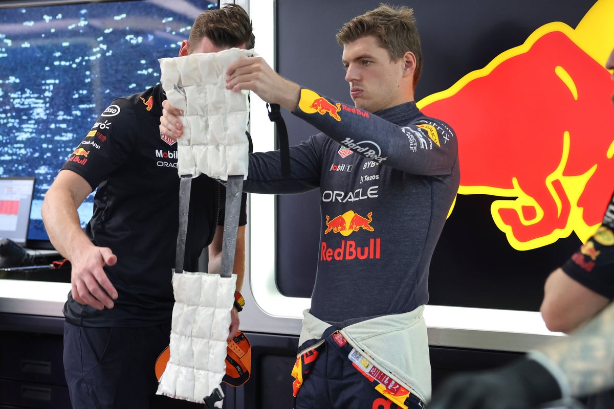 Subliminator Max Verstappen Crop Top Jersey - Away L - Furious Motorsport