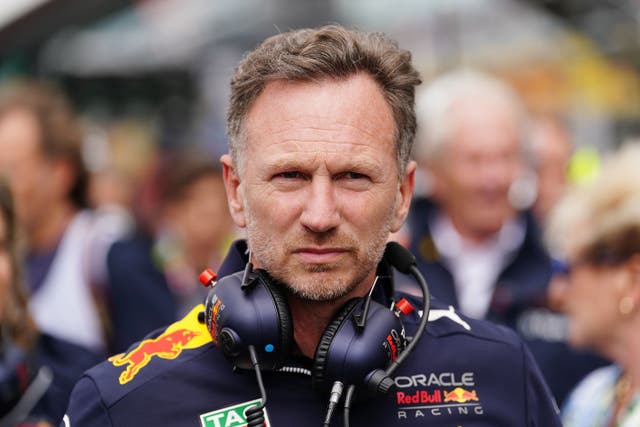 <p>Red Bull team principal Christian Horner </p>