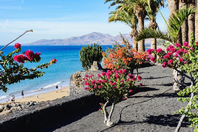 <p>Puerto del Carmen, Lanzarote, stays toasty into October</p>