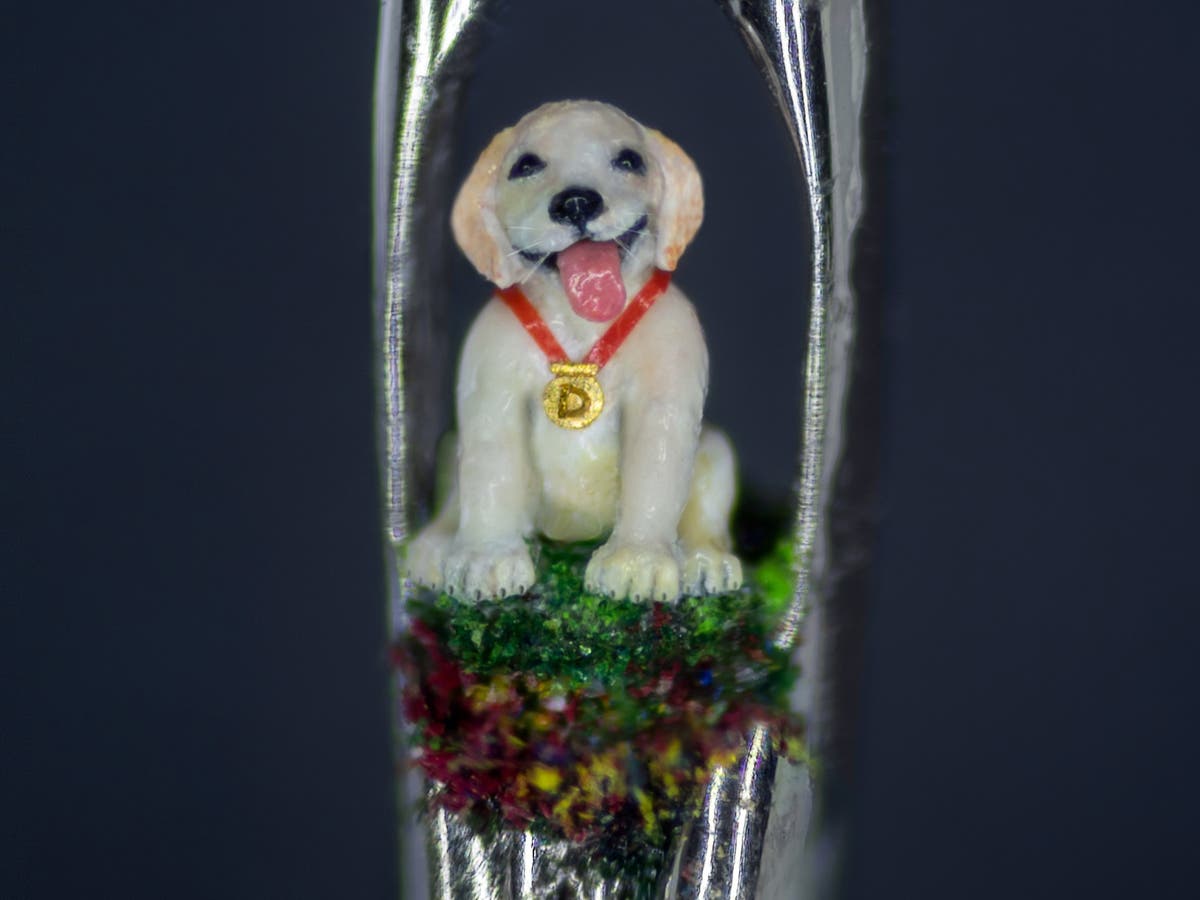 Artist uses eyelash to paint miniature puppy sculpture in the eye of a needle