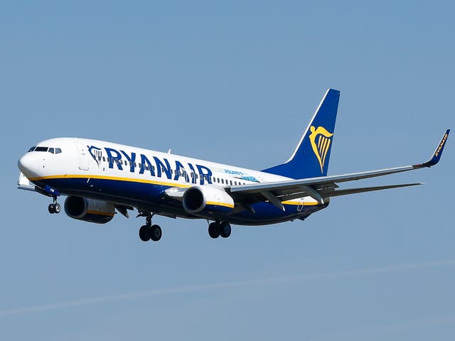 <p>The Ryanair flight took off from Newcastle Airport while the couple remained on the ground </p>