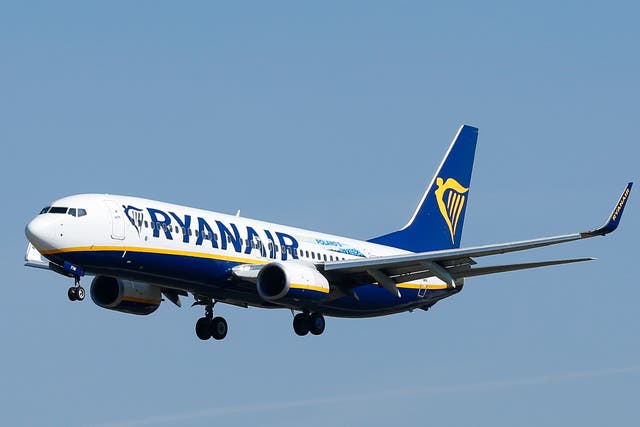 <p>The Ryanair flight took off from Newcastle Airport while the couple remained on the ground </p>