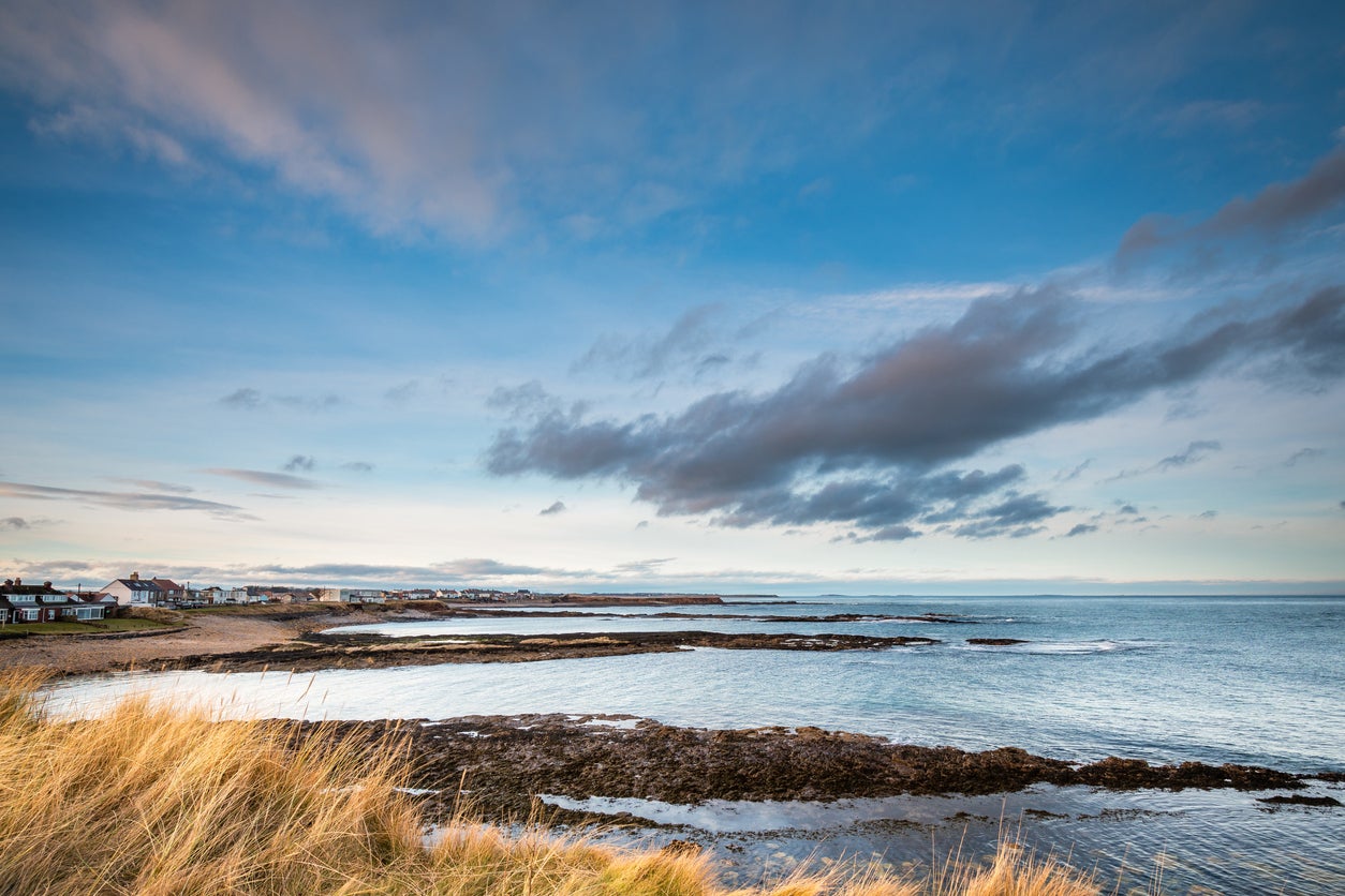 The windswept coastline around Beadnell, Northumberland