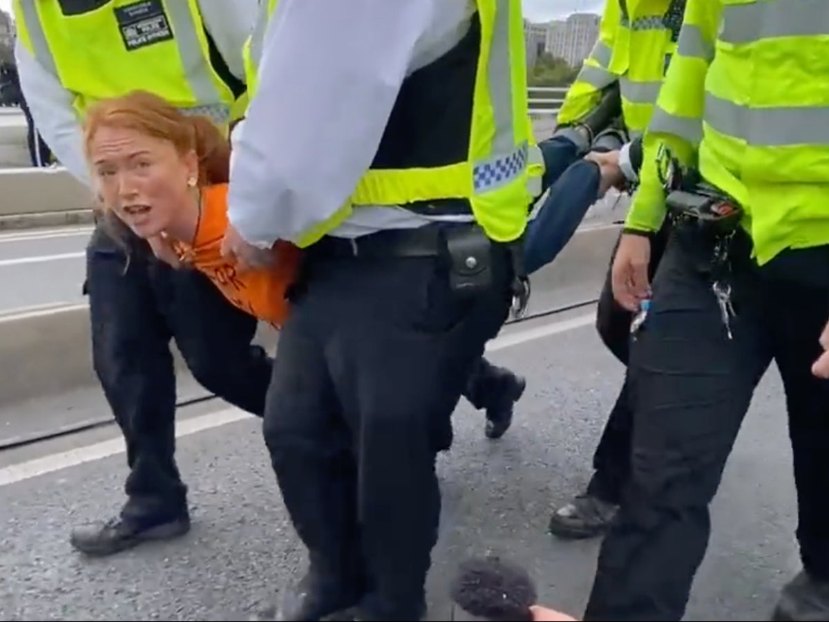 ‘I’m doing this for my son’: Woman carried off Waterloo Bridge during wave of protests over environment and cost of living crisis