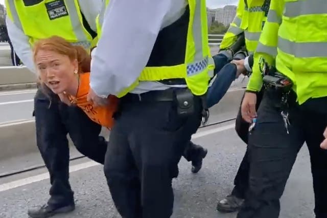 <p>A protester is carried off Waterloo Bridge by the police on Sunday</p>