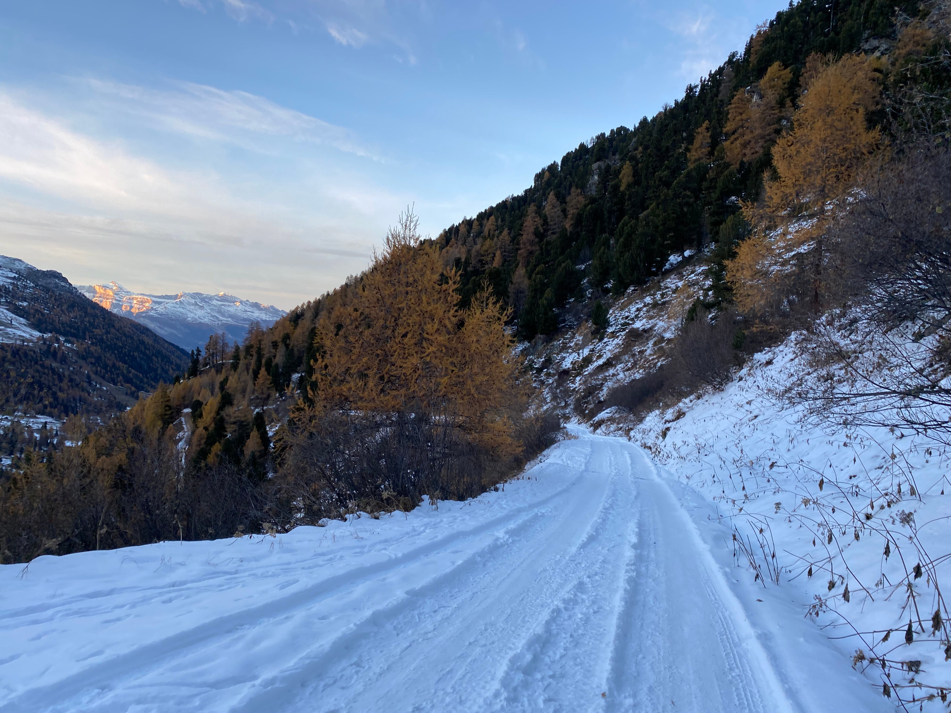 <p>I have moved on and integrated my sister’s death into my life without becoming overcome by sadness or resentment</p>