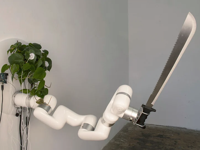 <p>A living plant acting as a ‘brain’ to a robotic arm wielded a machete as part of an installation called ‘Plant Machete'</p>