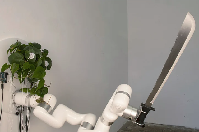 <p>A living plant acting as a ‘brain’ to a robotic arm wielded a machete as part of an installation called ‘Plant Machete'</p>