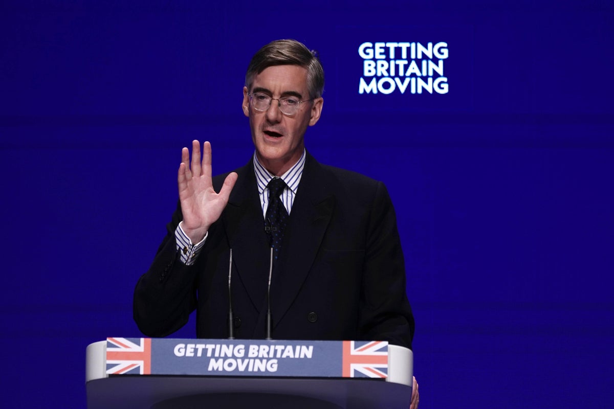 UK’s first prototype fusion energy plant to be built by 2040 – Rees-Mogg