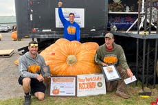 Super squash: New York man’s 2,554-pound pumpkin carves out new record