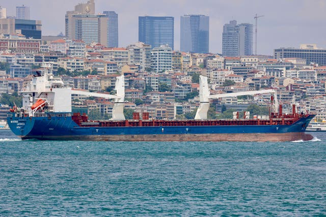 UCRANIA RUSOS GRANOS ROBADOS